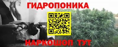 прущие крисы Можга