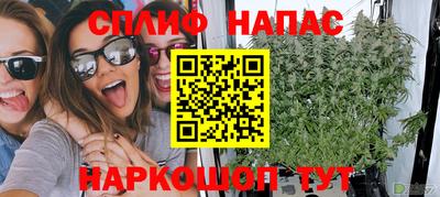 прущие крисы Можга