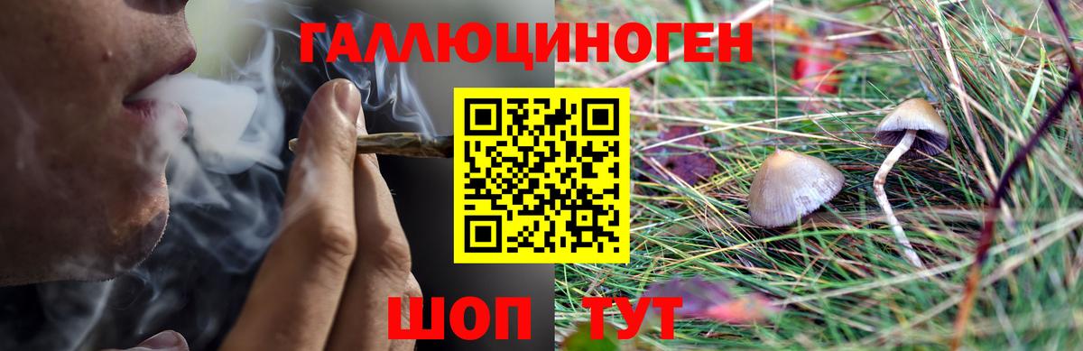 Бахчисарай  Псилоцибиновые грибы мухоморы  Вход с VPN  Галлюциногенные грибы MAGIC MUSHROOMS 